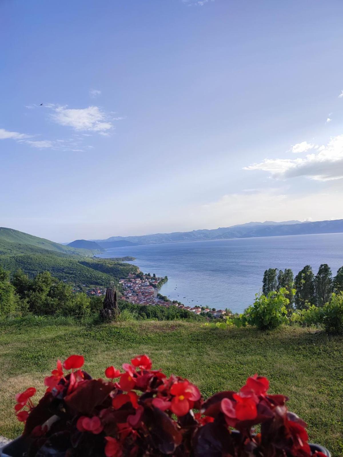 Elshani Guest House Nakjoski מראה חיצוני תמונה
